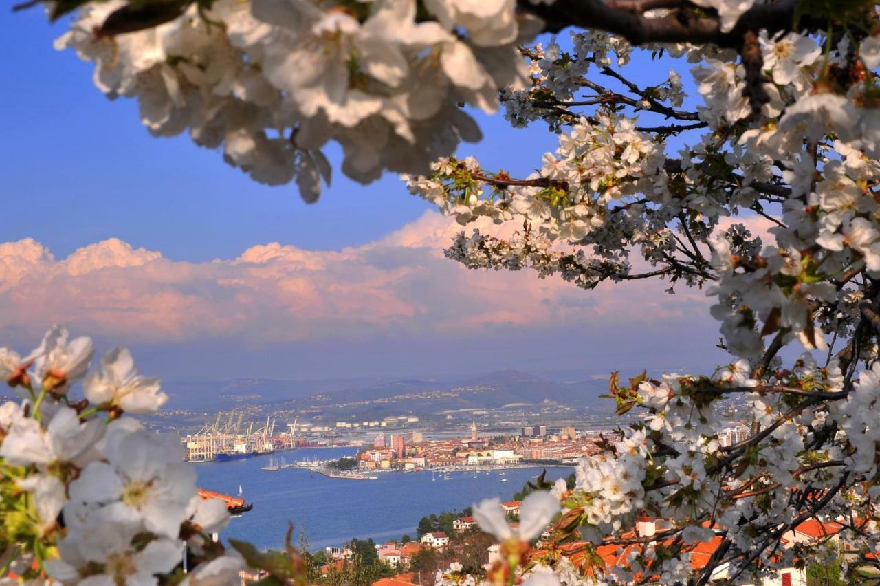 Razgled/The View Διαμέρισμα Κόπερ Εξωτερικό φωτογραφία